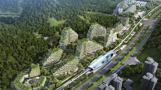 Construyen una ciudad ecológica en China completamente cubierta de árboles para combatir la contaminación